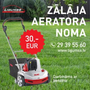 Benzīna zāles aerators ar savācējkasti